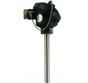 WZP-130無固定防水接線盒熱電阻